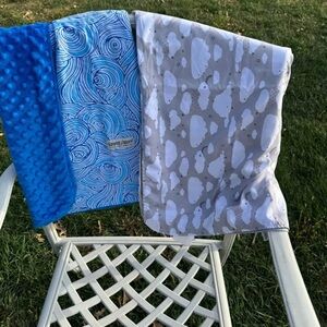 Two car seat canopies